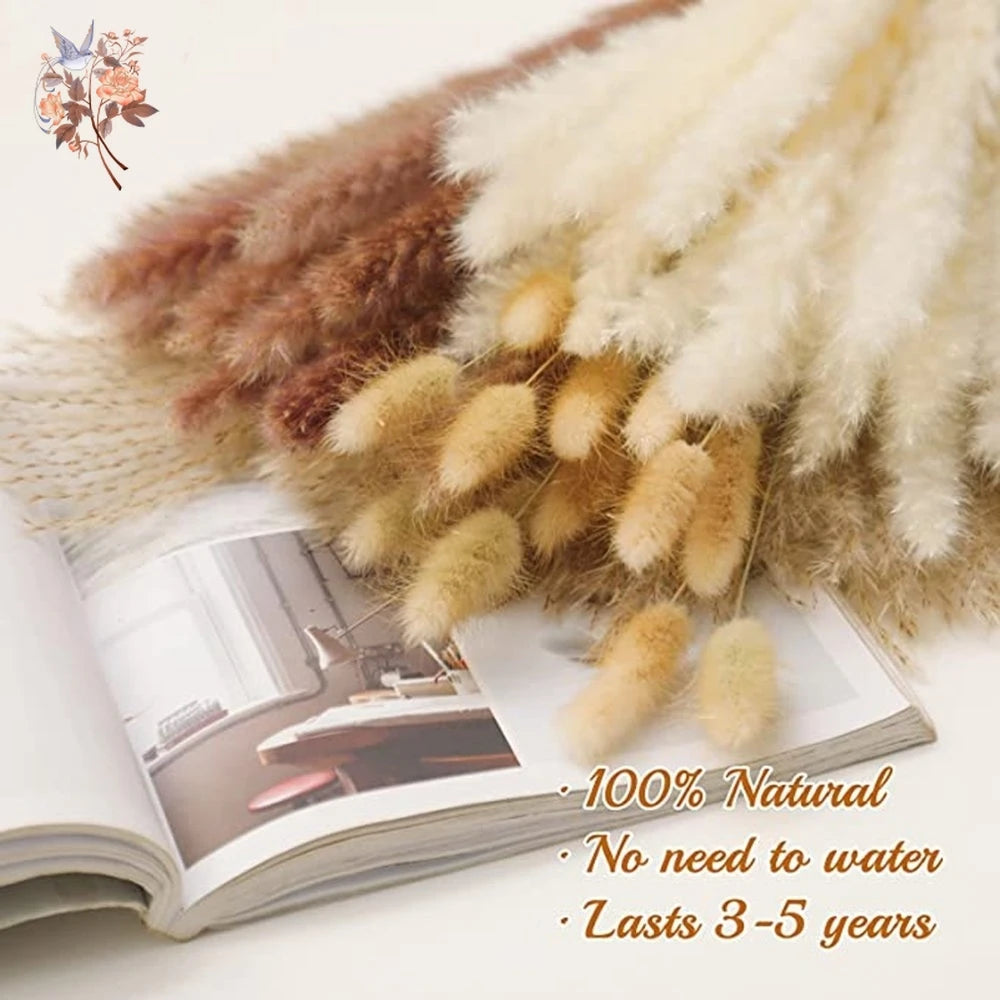 Pampas Natural Dried Flowers! 🌾🍂🌸