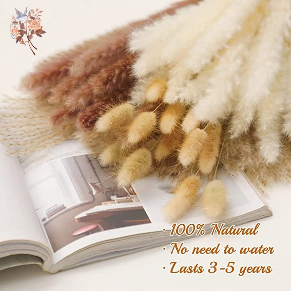 Pampas Natural Dried Flowers! 🌾🍂🌸