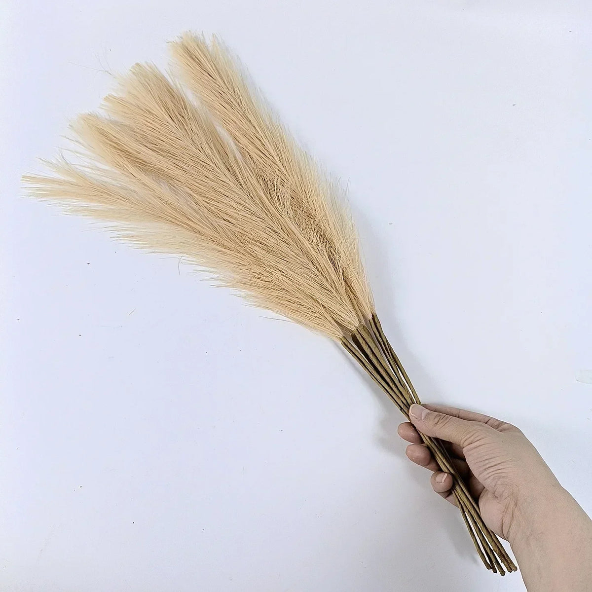 Pampas Grass Artificial 5pcs! 🏡🌾🎍