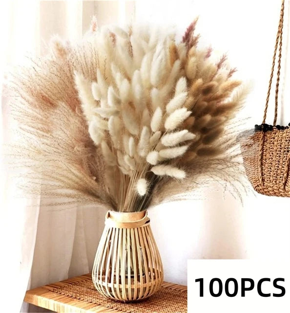 Pampas Natural Dried Flowers! 🌾🍂🌸