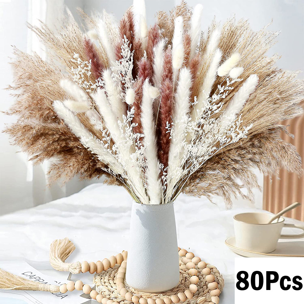 Pampas Natural Dried Flowers! 🌾🍂🌸