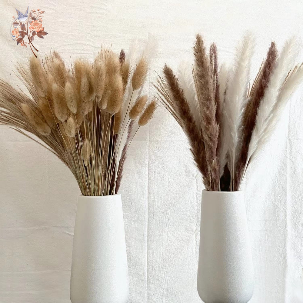 Pampas Natural Dried Flowers! 🌾🍂🌸