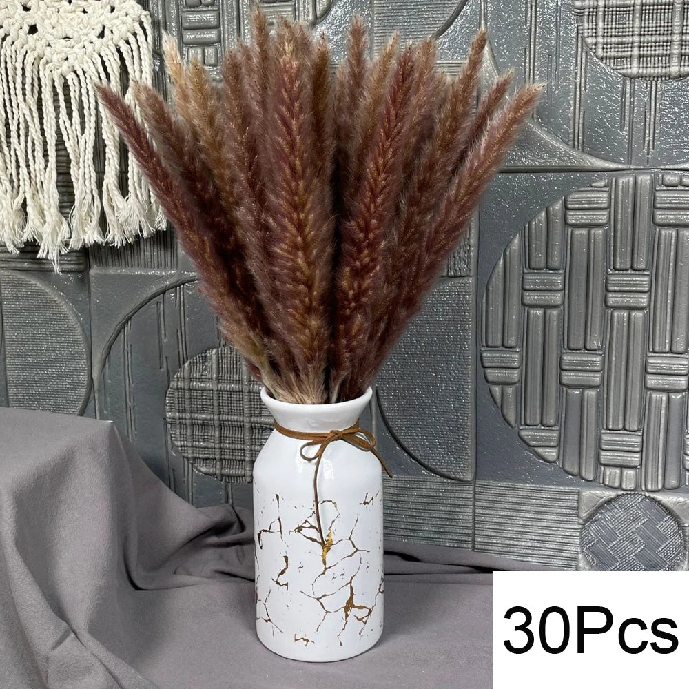 Pampas Natural Dried Flowers! 🌾🍂🌸