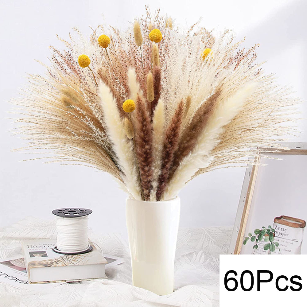Pampas Natural Dried Flowers! 🌾🍂🌸