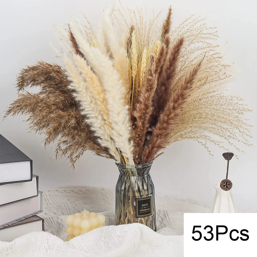 Pampas Natural Dried Flowers! 🌾🍂🌸