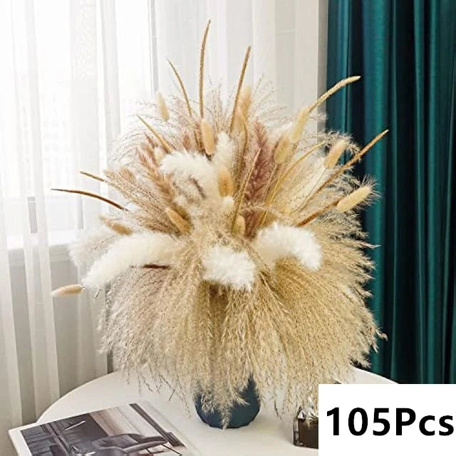 Pampas Natural Dried Flowers! 🌾🍂🌸