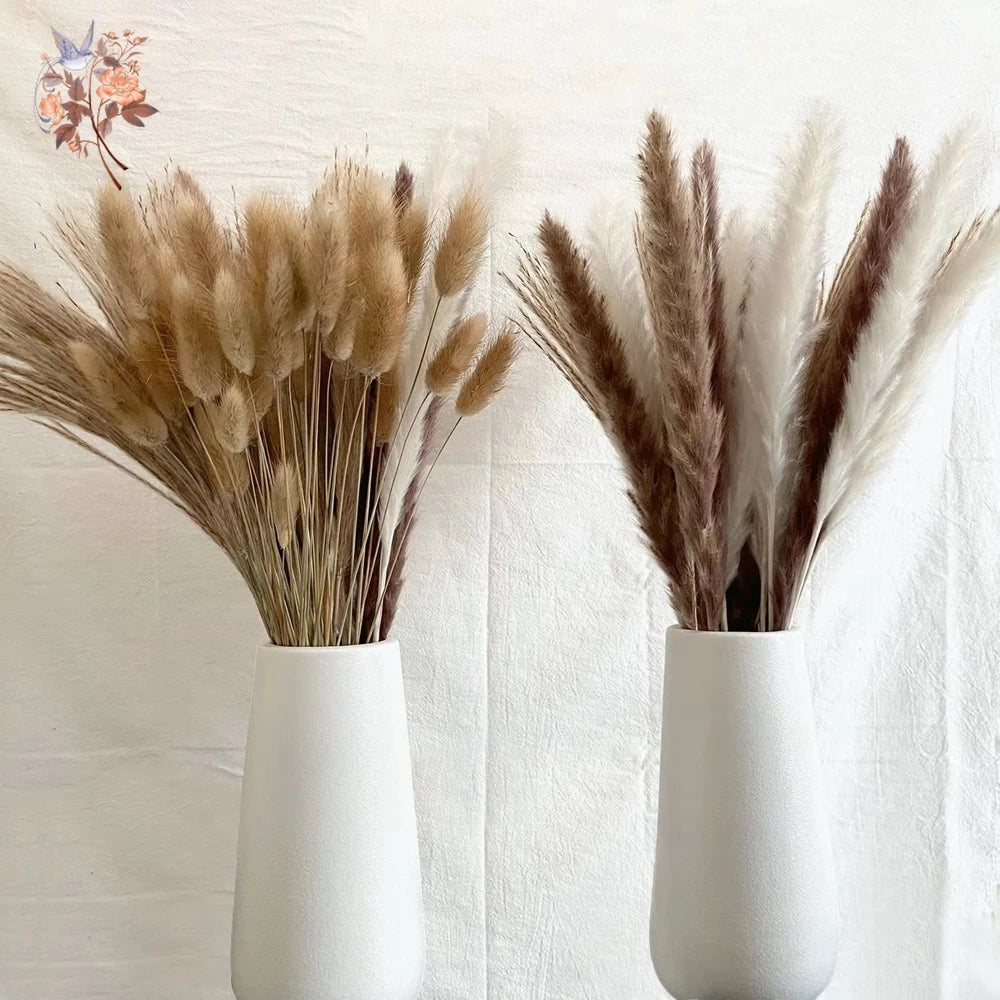 Pampas Natural Dried Flowers! 🌾🍂🌸