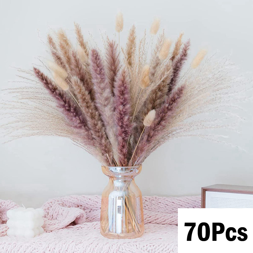 Pampas Natural Dried Flowers! 🌾🍂🌸
