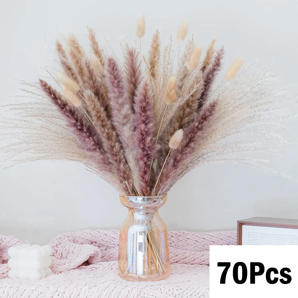 Pampas Natural Dried Flowers! 🌾🍂🌸