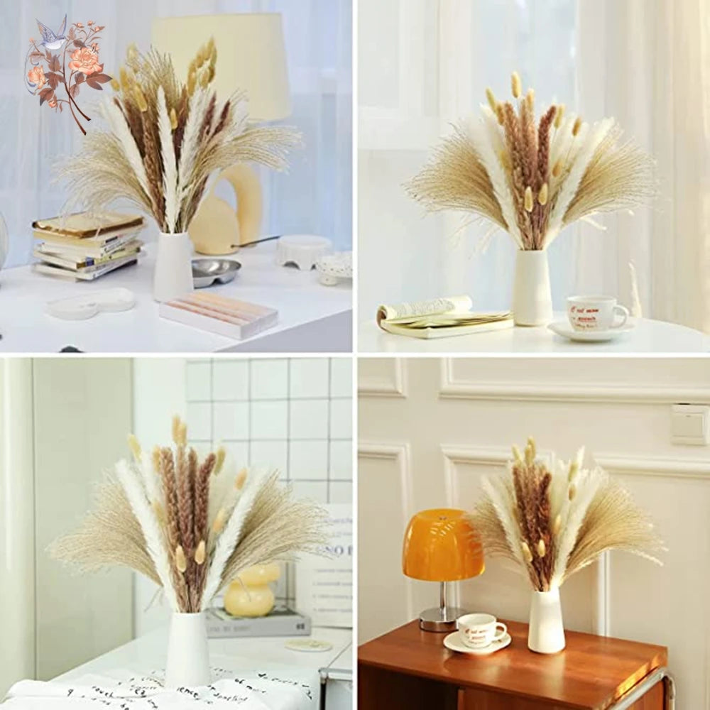 Pampas Natural Dried Flowers! 🌾🍂🌸