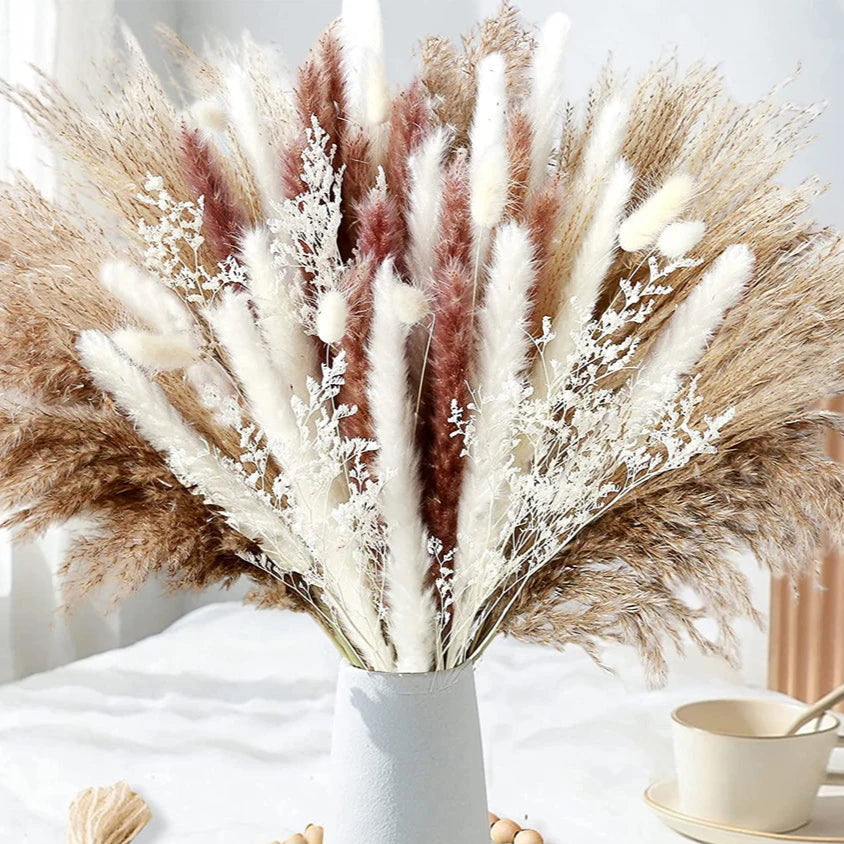 Pampas Natural Dried Flowers! 🌾🍂🌸