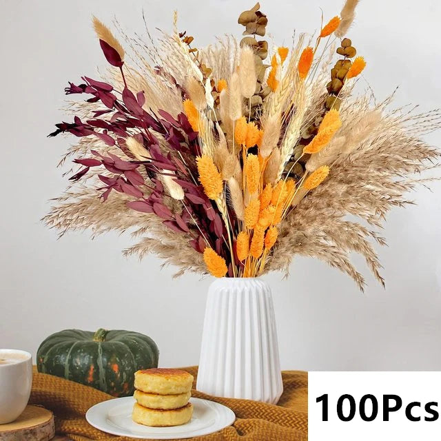 Pampas Natural Dried Flowers! 🌾🍂🌸