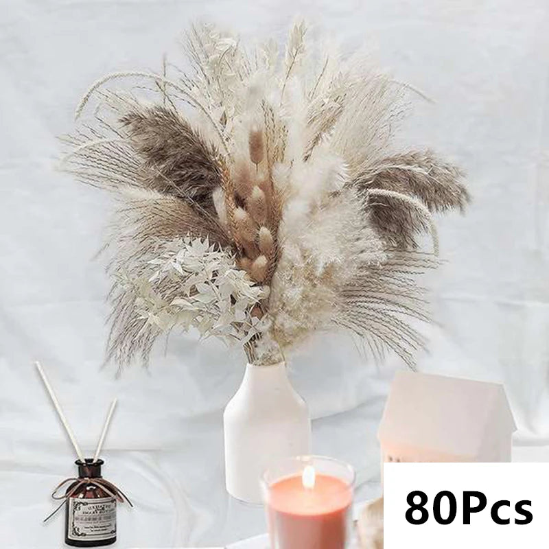Pampas Natural Dried Flowers! 🌾🍂🌸