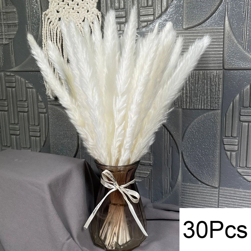 Pampas Natural Dried Flowers! 🌾🍂🌸