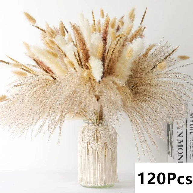 Pampas Natural Dried Flowers! 🌾🍂🌸