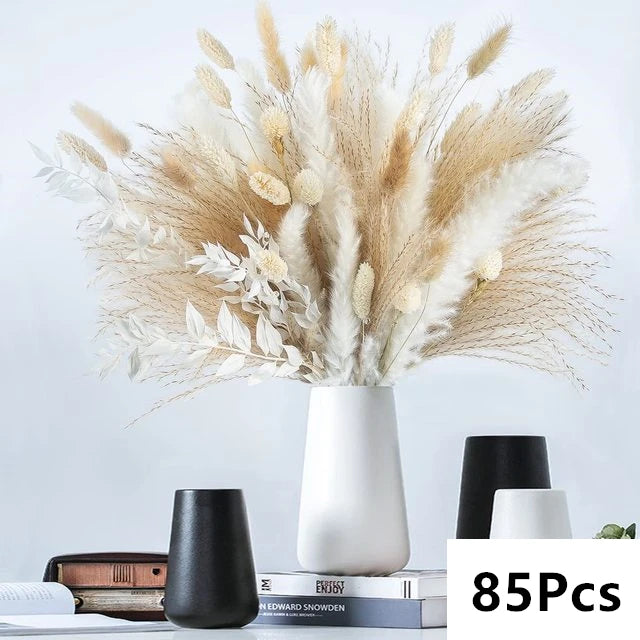 Pampas Natural Dried Flowers! 🌾🍂🌸
